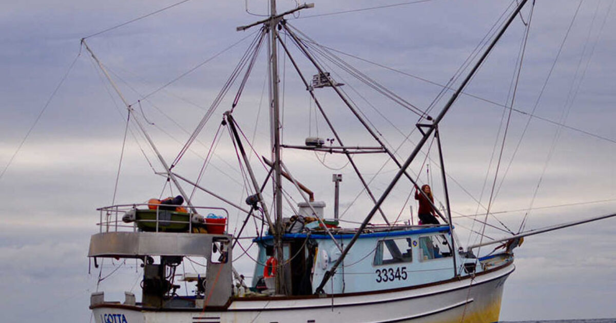 BatteryElectric Fishing Vessel Marks a Sea Change for Small Commercial